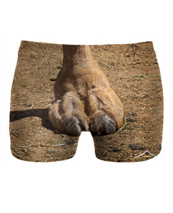 Cameltoe Underwear – quanghieutee